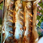 Farma Ranczo Gosciszow *