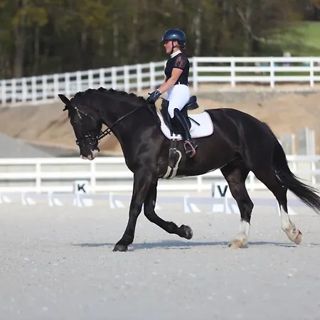 Vakantieboerderij Ranczo Gosciszow *