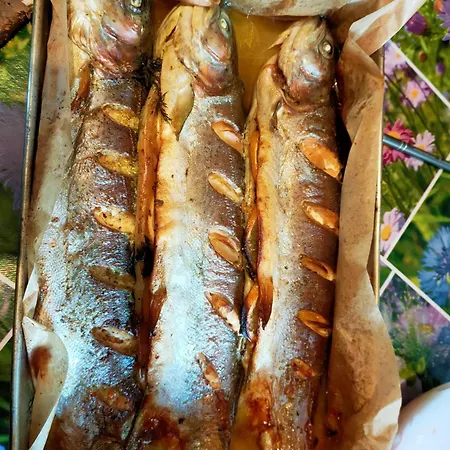 Κατάλυμα σε φάρμα Ranczo Gosciszow *