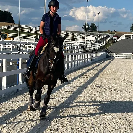 Ranczo Gosciszow Vakantieboerderij