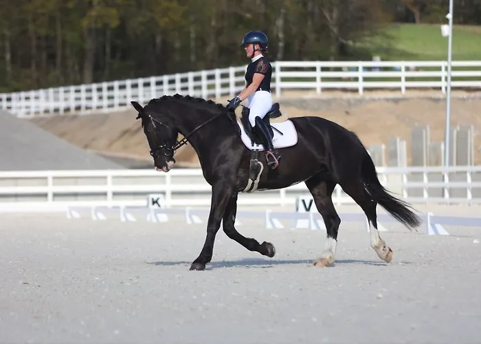 Farma Ranczo Gosciszow *