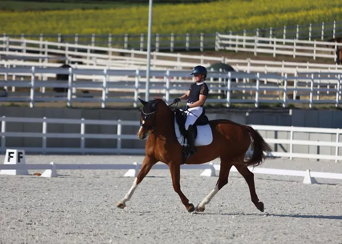 Ranczo Gosciszow * Nowogrodziec