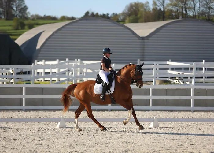 Ranczo Gosciszow Bauernhof *