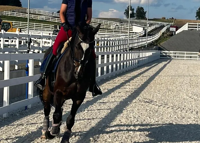 Ranczo Gosciszow Farma